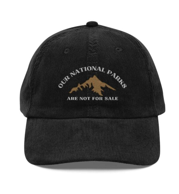 Our National Parks Are Not For Sale Hat