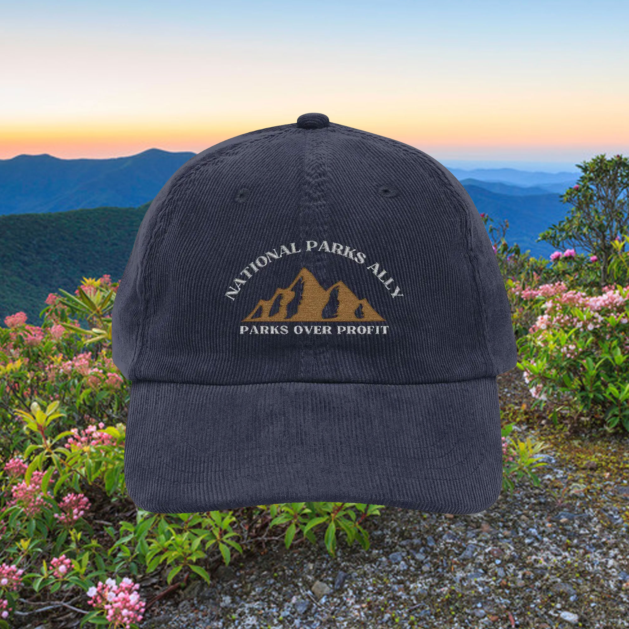 Vintage Corduroy Hat - Support National Parks