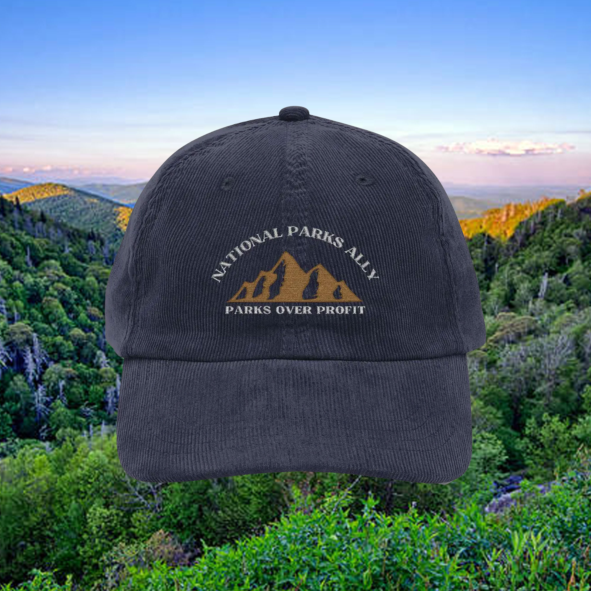 Vintage Corduroy Hat - Support National Parks
