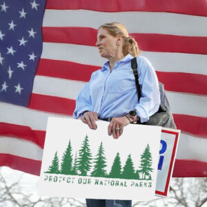 Protect Our National Parks, Stop Deforestation Protest Yard Sign