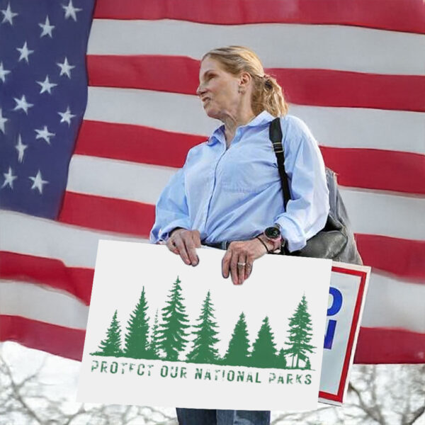 Protect Our National Parks, Stop Deforestation Protest Yard Sign