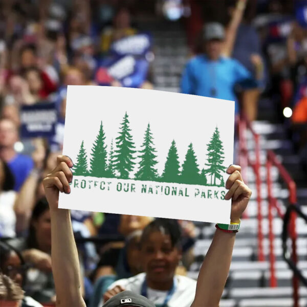 Protect Our National Parks, Stop Deforestation Protest Yard Sign